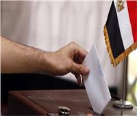 انطلاق تصويت المصريين بالخارج في سفارات مصر بكوريا واستراليا  