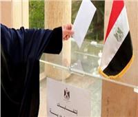 المصريون في البحرين يشاركون بملحمة وطنية في الانتخابات الرئاسية  
