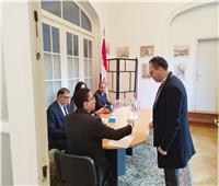 سفير مصر في بروكسل: مشاركة ملحوظة للمصريين من مختلف الأعمار