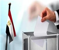 آخر أيام التصويت بالخارج..بدء تصويت المصريين في الانتخابات الرئاسية بـ8 دول أفريقية
