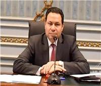 هشام الحصري: المصريون بالخارج يستكملون بناء الوطن‎ عبر صناديق الاقتراع