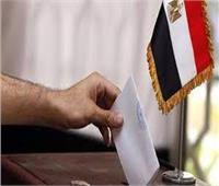 رئيس شباب الخارج: السفارات المصرية قدمت ملحمة وطنية في انتخابات الرئاسة