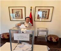 استمرار توافد المصريين في جنوب أفريقيا للمشاركة بالانتخابات الرئاسية