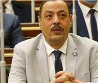 برلماني: المصريون يؤيدون السيسي في الانتخابات للحفاظ على مصر وحدودها‎