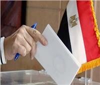 «الإصلاح والنهضة»: تصويت المصريين في الخارج كان مبشرا للغاية