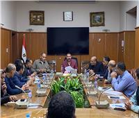 كهرباء الإسكندرية تنتهي من الاستعدادات الخاصة بالانتخابات الرئاسية