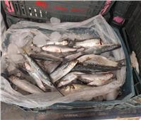 أسعار الأسماك بسوق العبور اليوم 8 ديسمبر