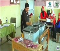بالفيديو| «انزل شارك.. مصر الأهم» تواصل توعية المواطنين والمشاركة في الانتخابات     