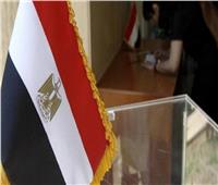 الوطنية للانتخابات: نتعهد بأن تأتي نتيجة الانتخابات الرئاسية معبرة عن إرادة المصريين