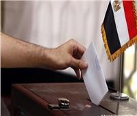 العربية لحقوق الإنسان تختتم تحضيرات متابعة الانتخابات الرئاسية في مصر