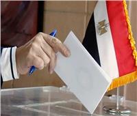 البرلمان العربي يشارك في متابعة الانتخابات الرئاسية المصرية بأكبر وفد في تاريخه