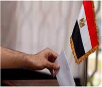 برلماني: المشاركة في الانتخابات الرئاسية رسالة بوعى المصريين بالتحديات