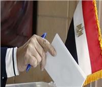 اتحاد عمال مصر: بذلنا مجهودا كبيرا للتوعية بأهمية المشاركة في الانتخابات الرئاسية