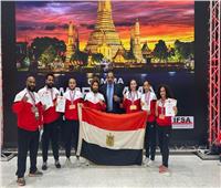 مصر تحصد 11 ميدالية في بطولة العالم للفنون القتالية المختلطة «MMA» بتايلاند