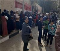 رئيس حزب الريادة: مشاركة المصريين في أول أيام الانتخابات «مظاهرة حب»