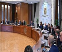 رئيس الوزراء: حظر تصدير البصل حتى 30 مارس.. وتغليظ العقوبة على المحتكرين
