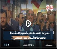 الانتخابات الرئاسية| مسيرات حاشدة لأهالي أوسيم للمشاركة الانتخابية وتأييد الرئيس السيسي