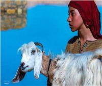 فيلم The Goat يفوز بـ5 جوائز في 3 مهرجانات عالمية