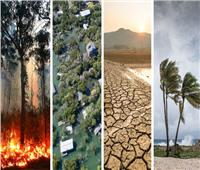تقرير: الكوارث المناخية والضغوط التنظيمية تدفع نحو الاستدامة في الأعمال