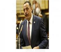 برلماني: المصريون أبهروا العالم بمشاركتهم في الانتخابات الرئاسية‎