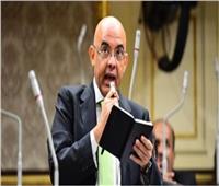 برلماني: «المصريون أبهروا العالم بمشاركتهم في الانتخابات الرئاسية»