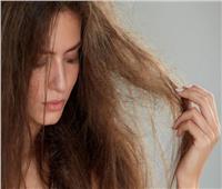 لجمالك.. 3 وصفات طبيعية لعلاج تلف الشعر الجاف