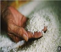 التموين تستورد 20 ألف طن أرز من الهند 