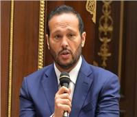 محمد حلاوة رئيس لجنة الصناعة بالشيوخ: سعداء وفخورون بالإشادات الدولية تجاه الانتخابات الرئاسية