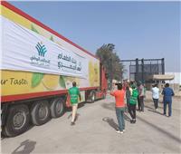 إرسال 6 شاحنات مساعدات لغزة بالتعاون بين حياة كريمة ومؤسسة الصناديق الإنسانية القطرية