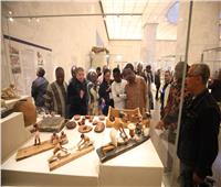 التنمية المحلية تنظم جولة سياحية للكوادر الإفريقية للتعرف على الحضارة المصرية  
