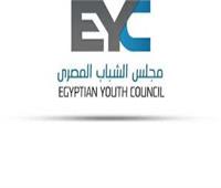 «الشباب المصري» يستعرض تقريره المبدئي حول الانتخابات الرئاسية المصرية