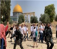 بحماية شرطة الاحتلال.. عشرات المستوطنين يقتحمون المسجد الأقصى