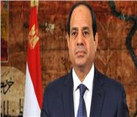 الرئيس السيسي‬⁩: سأكون صوت المصريين جميعا مدافعا عن حلمهم 