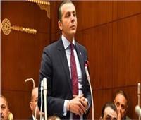 برلماني: مصر تقود مساعي حقن دماء الفلسطينيين ومواقفها ثابتة ضد التهجير القسري‎
