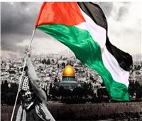 البعثة الأممية لحقوق الإنسان: القاعدة الشعبية فى أمريكا تدعم القضية الفلسطينية
