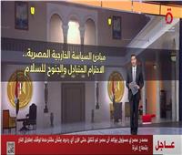 عمرو خليل: الدبلوماسية المصرية محرك ودافع رئيسي لاستقرار المنطقة