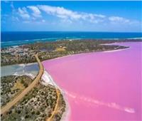 زيادة عدد البحيرات الوردية في العالم.. لهذا السبب
