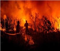 حصاد 2023| «الأكثر دمارًا».. حرائق الغابات تُرعب العالم