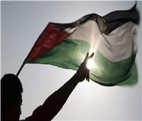 كاتب صحفي: مصر والأردن يضعان القضية الفلسطينية ضمن أولوياتهما