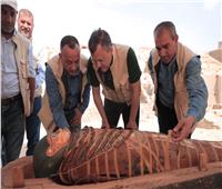 حصاد 2023| «السياحة» تسترد 53 قطعة أثرية وتنجز 99.5% من أعمال «المتحف المصري الكبير»