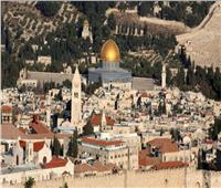 أصل الحكاية | "جبل الزيتون" .. أحد معالم مدينة القدس الأثرية