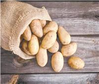هل توجد زيادة جديدة في أسعار البطاطس؟.. نقيب الزراعيين يكشف التفاصيل