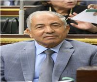 رئيس «دفاع النواب» يهنئ السيسي والمصريين بالعام الميلادي الجديد
