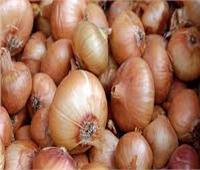 «تموين البحر الأحمر» تُعلن عن توافر كميات من البصل بسعر 18 جنيهًا للكيلو