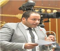 برلماني يشيد بتطبيق التأمين الصحي الشامل بجنوب سيناء