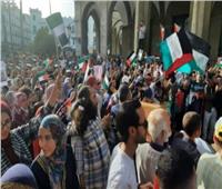 عضو البرلمان بجنوب أفريقيا: مصر تقوم بدور فعّال في دعم الشعب الفلسطيني