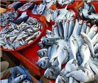 البحيرات الشمالية تنتج 198 ألف طن من الأسماك
