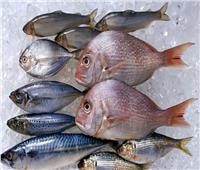 أسعار الأسماك الأحد 7 يناير بسوق العبور