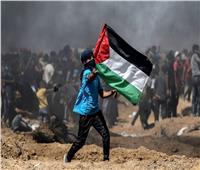 فلسطين تدين مجازر الاحتلال في الفالوجة وتؤكد: إسرائيل ترد على زيارة «بلينكن»