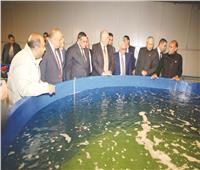 حـضانة تحت الماء| مركز لعلاج أمراض الأسماك ببورسعيد